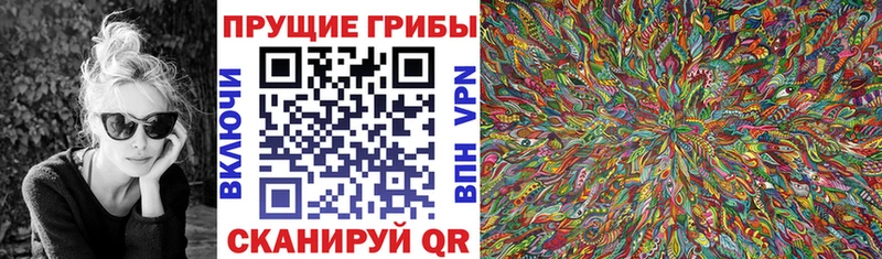 дарк нет состав  Курчатов  кракен маркетплейс  Псилоцибиновые грибы MAGIC MUSHROOMS  где найти наркотики 